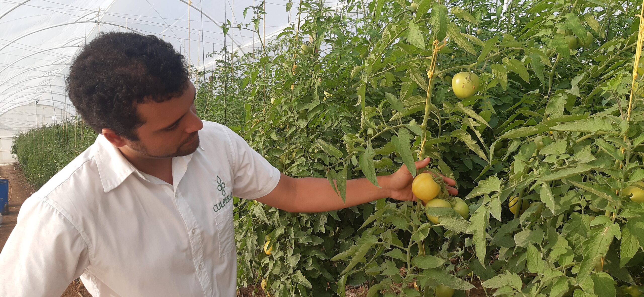 Culperma empresa tachirense desarrolla productos agroecológicos