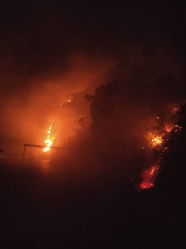 Incendio Forestal en zona de Pregonero