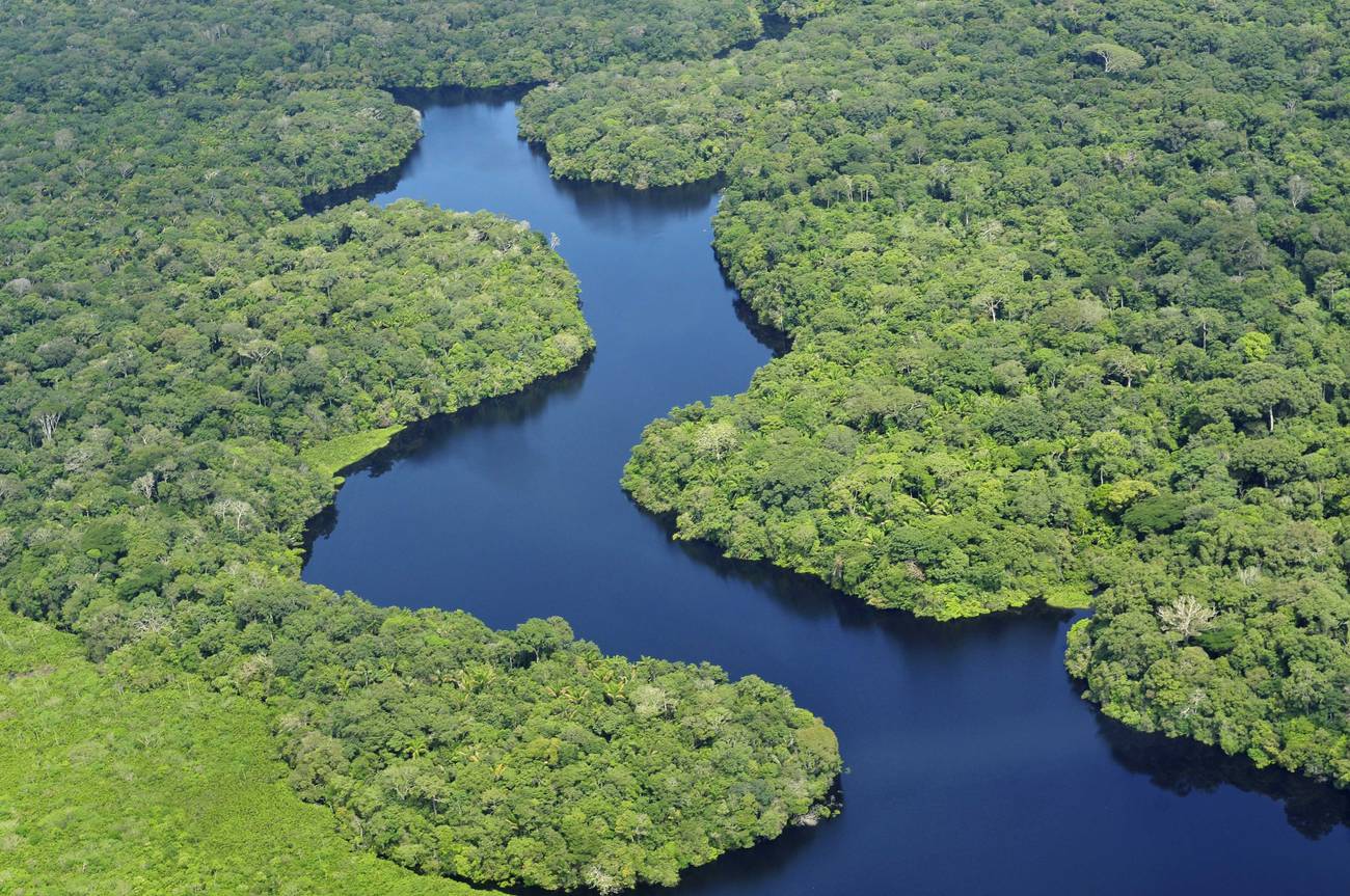 Ocho países de la Amazonia con el poder de salvar el planeta