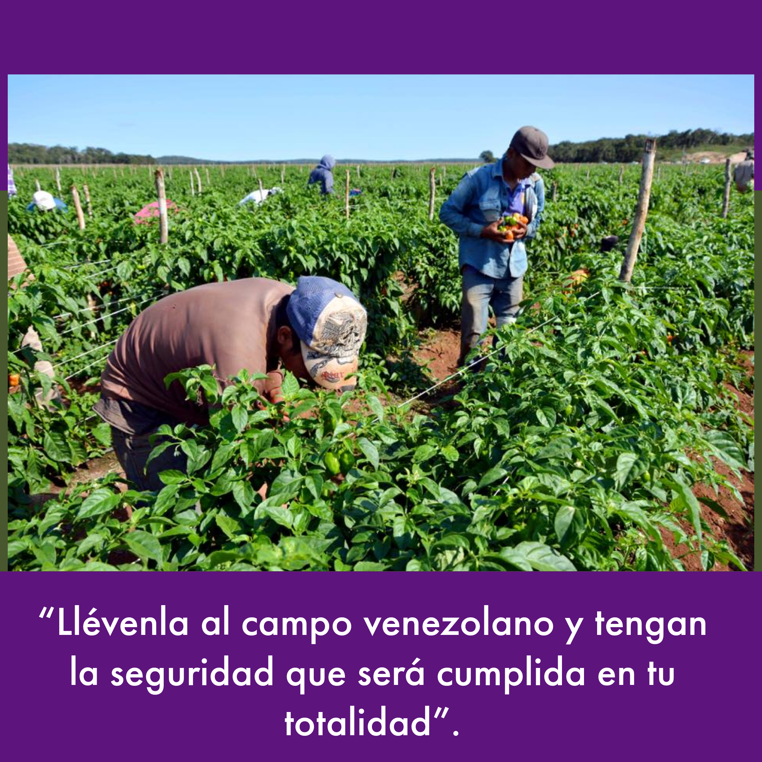 Aprobado proyecto de Ley de las Trabajadoras y los Trabajadores Agrícolas