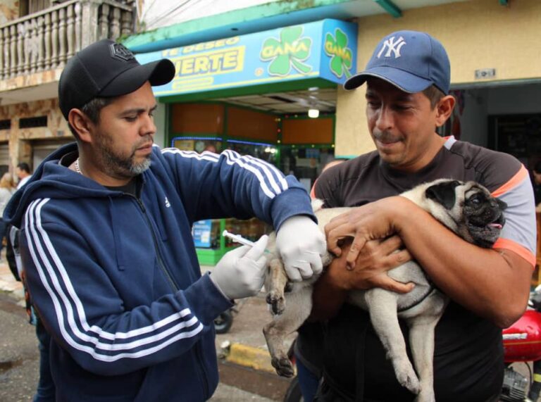 Fundación de la Familia Tachirense desplegó jornada de vacunación masiva casa a casa inmunizando a 400 mascot