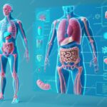 Los 9 avances médicos de 2025 que podrían cambiar cómo prevenimos y tratamos enfermedades